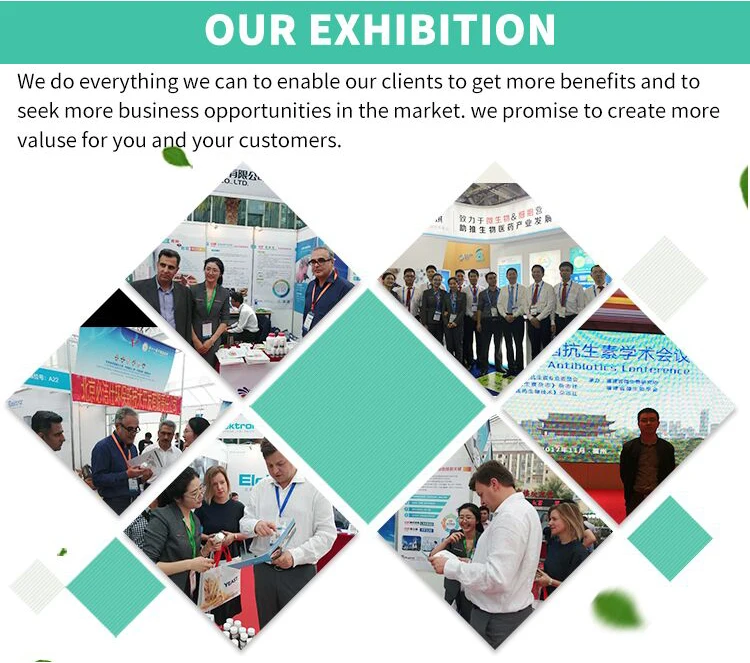 PLA Plastic Bags Disposable T-shirt  Biodegradable Garbage Bags