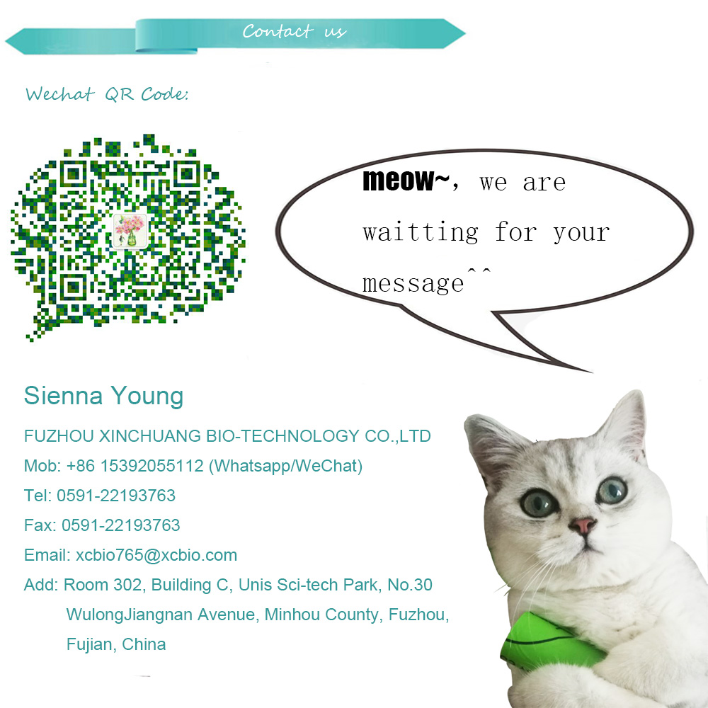 custom printed biodegradable plastic pet dog waste bags for ready shipping