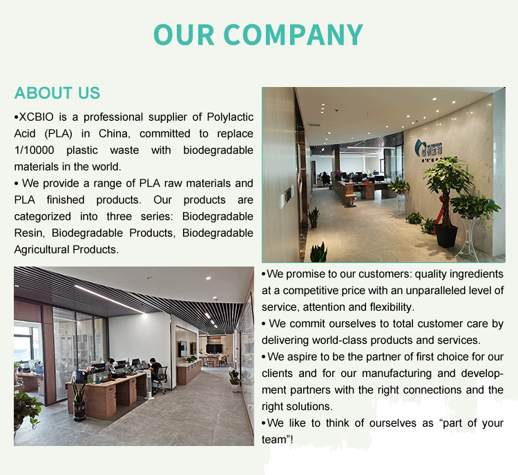 Compostable disposable coffee/tea/drink cup customized Pla coated paper cups