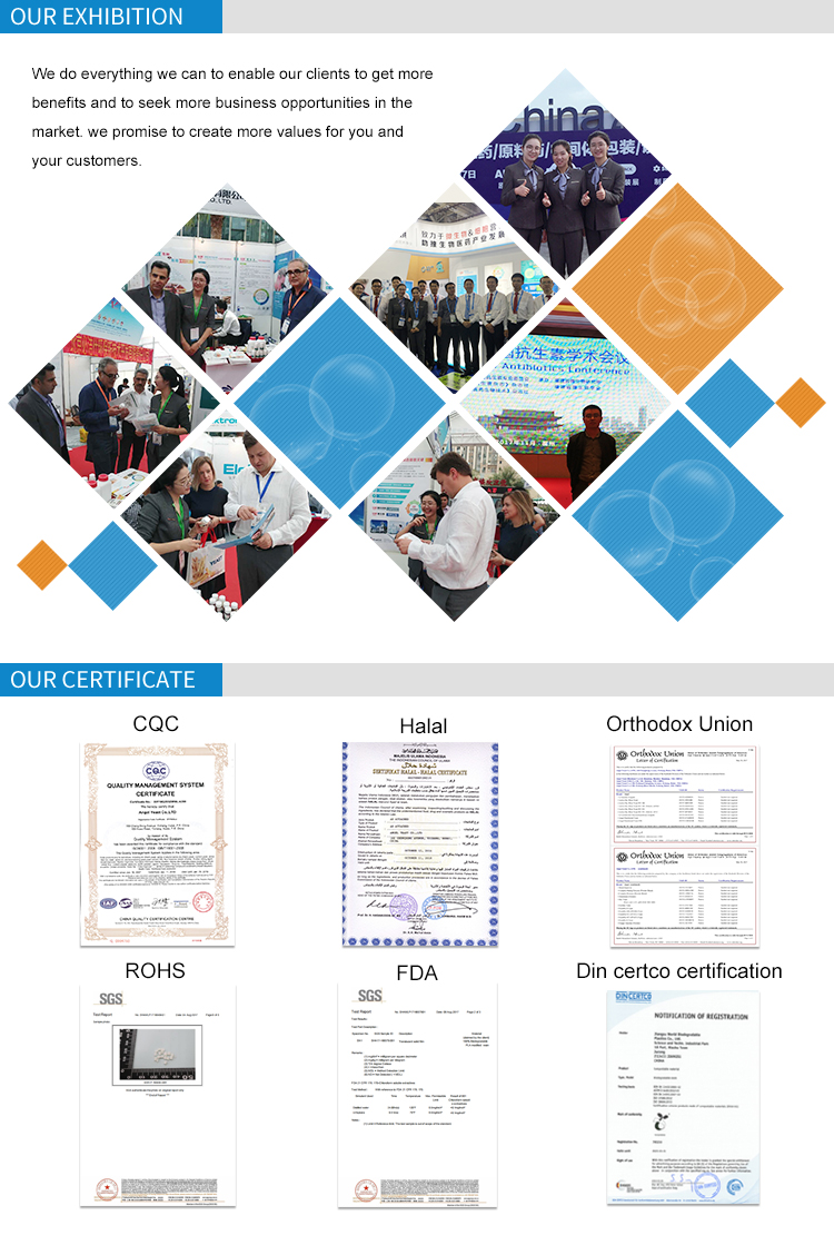Manufacture of Nutritional Yeast Flake