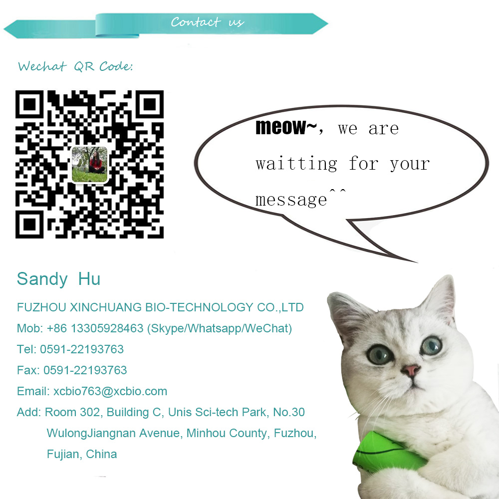 Disposable Plastic Compostable Straw Biodegradable Flexible PLA Drinking Straw