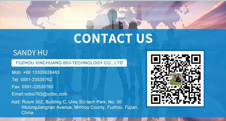 PLA Plastic Bags Disposable T-shirt Biodegradable Garbage Bags