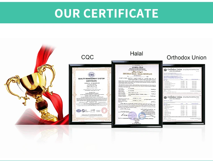 PLA Plastic Bags Disposable T-shirt  Biodegradable Garbage Bags